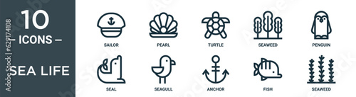 sea life outline icon set includes thin line sailor, pearl, turtle, seaweed, penguin, seal, seagull icons for report, presentation, diagram, web design