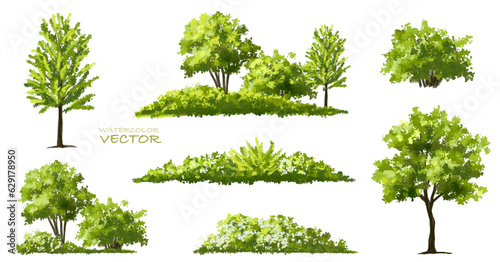 Vector of flower grass or blooming shrub isolated on white background  watercolor tree elevation for landscape concept environment panorama scene eco design meadow for spring
