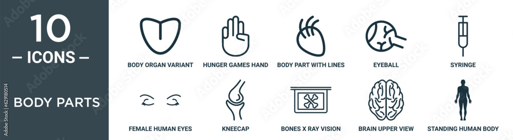 body parts outline icon set includes thin line body organ variant with line, hunger games hand gesture, body part with lines, eyeball, syringe, female human eyes, kneecap icons for report,