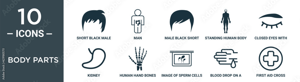 Obraz premium body parts outline icon set includes thin line short black male hair shape, man, male black short hair shape, standing human body shape, closed eyes with lashes and brows, kidney, human hand bones