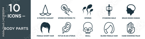 body parts outline icon set includes thin line e pointed variant with mustache, sperm entering to an ovule, sperms, standing male, brain inside human head, female short hair style variant, fetus in