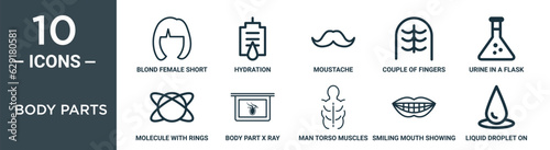 body parts outline icon set includes thin line blond female short hair shape, hydration, moustache, couple of fingers, urine in a flask for experimentation, molecule with rings, body part x ray