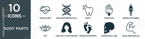 body parts outline icon set includes thin line heart shape, dna deoxyribonucleic acid, tooth, hand palm, human hips bones inside a standing male body black, eye, long wavy hair variant icons for