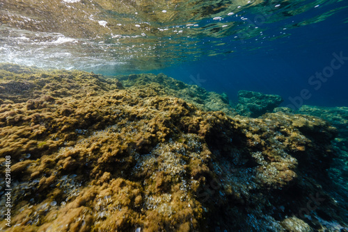 Coral reef undersea on sunny day © ADDICTIVE STOCK CORE