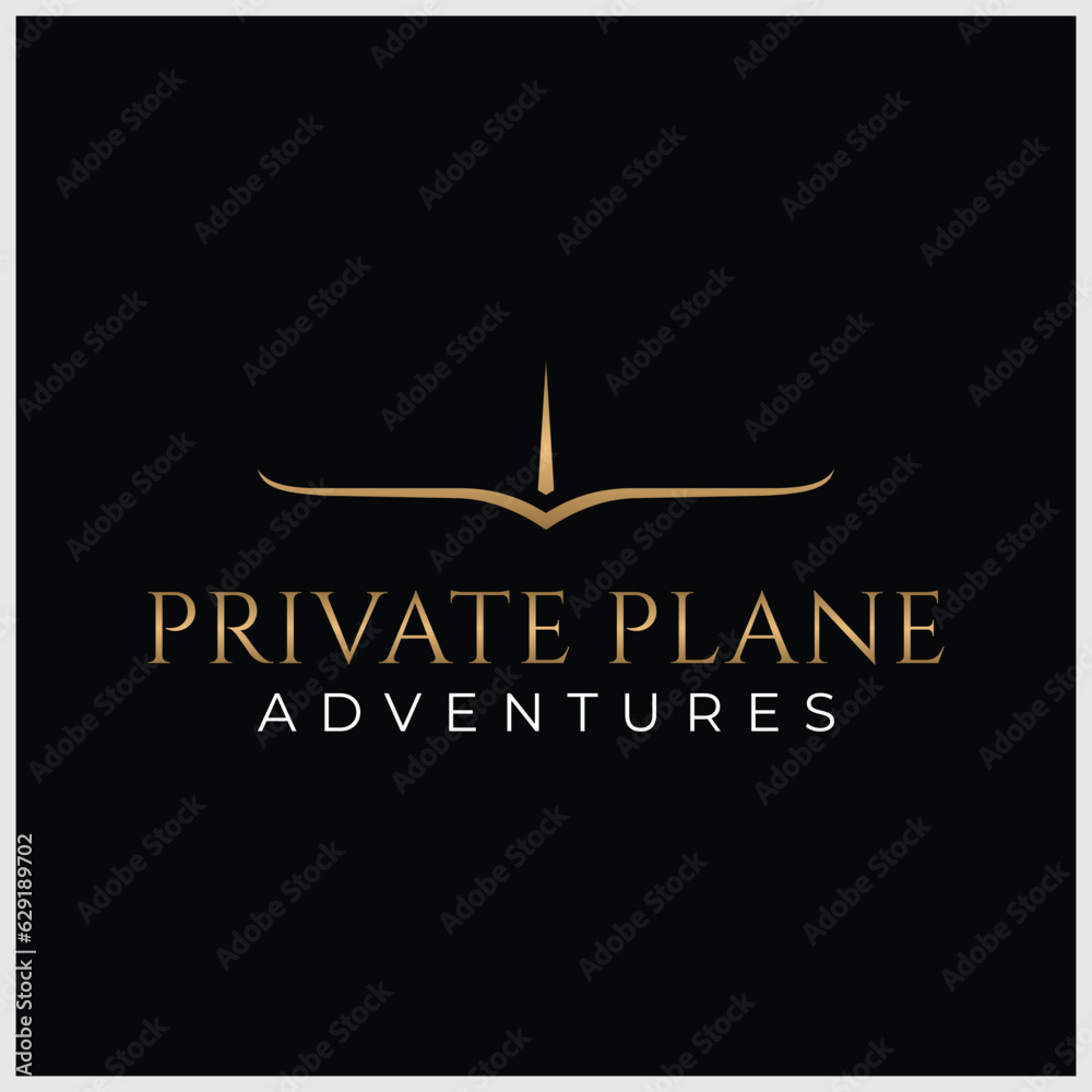 Travel, airplane flight. Luxury minimalist style privacy aviation vector logo icon template