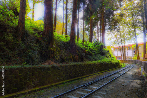 Tranquil and warm forest  charming forest railway track and light and shadow outside the forest form a picturesque scene. In Alishan  Taiwan..For branding  screensavers  websites high quality photo
