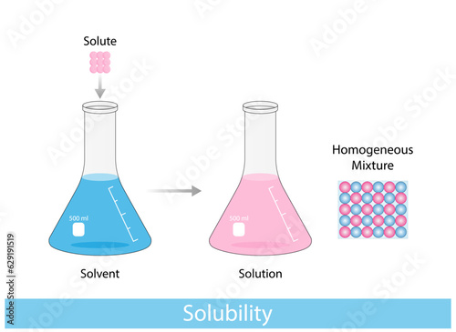 Solutions. Solubility homogeneous mixture. Solute, solvent and solution. Dissolving solids. Chemistry. Educational diagram. Conical flask, isolated on white background. Vector illustration.
