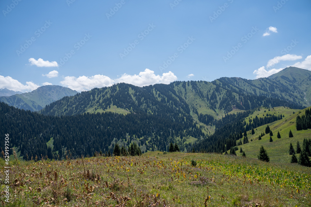 Mountain paths and views of the surroundings of the Almaty region, Kazakhstan. Pasture and plains, forests and open spaces