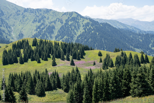 Mountain paths and views of the surroundings of the Almaty region, Kazakhstan. Pasture and plains, forests and open spaces