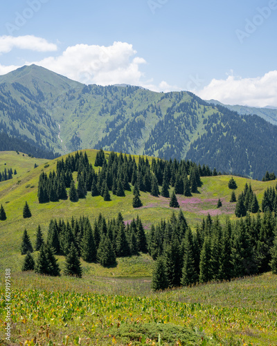 Mountain paths and views of the surroundings of the Almaty region, Kazakhstan. Pasture and plains, forests and open spaces © Marat