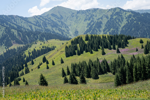 Mountain paths and views of the surroundings of the Almaty region  Kazakhstan. Pasture and plains  forests and open spaces