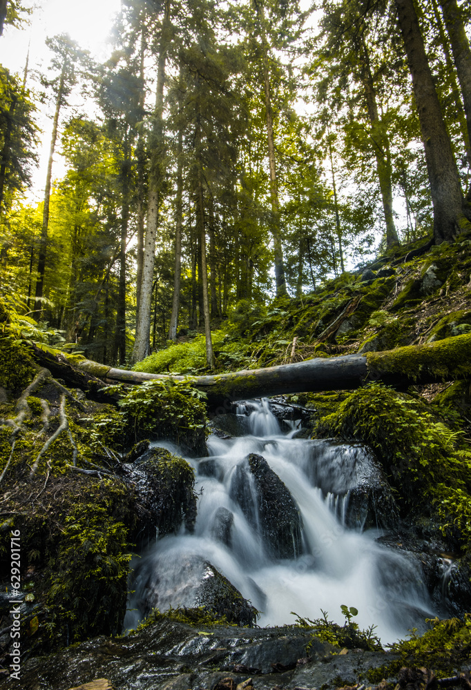 Mystical waterfall in the Black Forest, Germany Mystical waterfall in the Black Forest, Germany