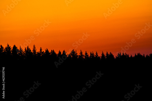 Fototapeta Naklejka Na Ścianę i Meble -  Sunset over a silhouette of trees
