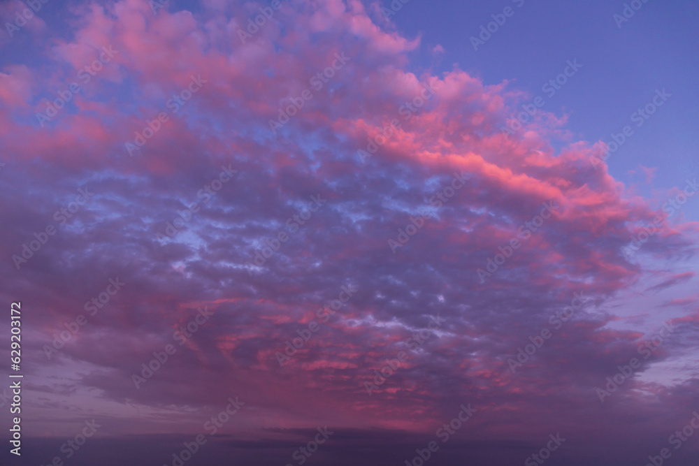 Sunset pink purple violet cloudy sky. Beautiful sunrise with pink clouds against blue sky background texture