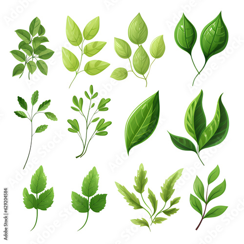 Set of tropical vector leaves. Variety. Ornamental plants. White background  Generative AI