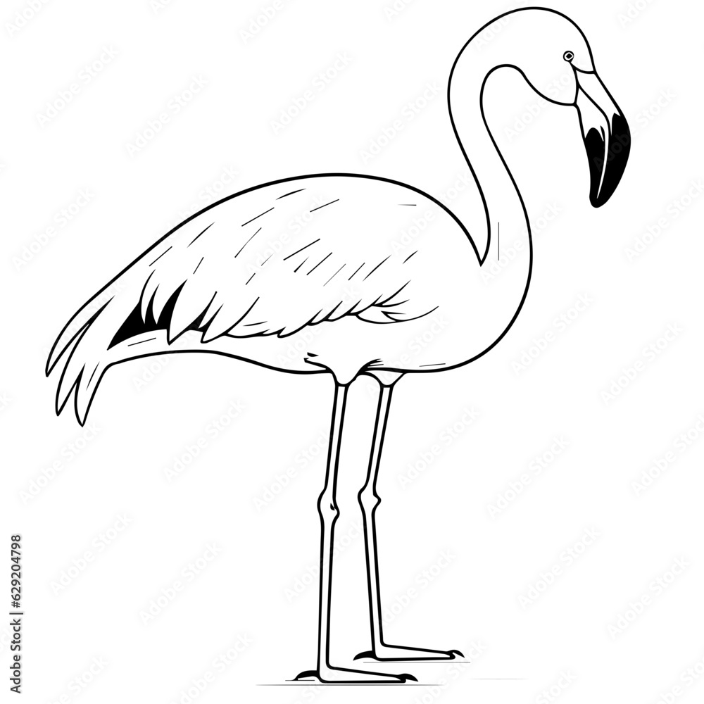 Fototapeta premium Flamingo chick flat vector illustration isolated on white background