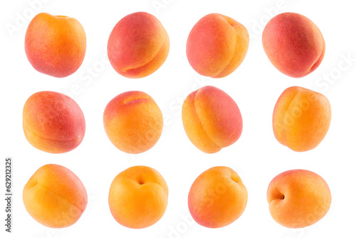 Ripe orange apricot with pink side - rich collection, whole fruit, different sides isolated on white background. Summer fresh juicy fruits as design elements.