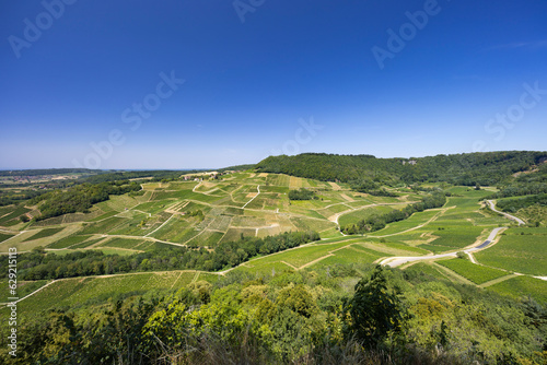Vineyards near Chateau Chalon, Department Jura, Franche-Comte, France photo