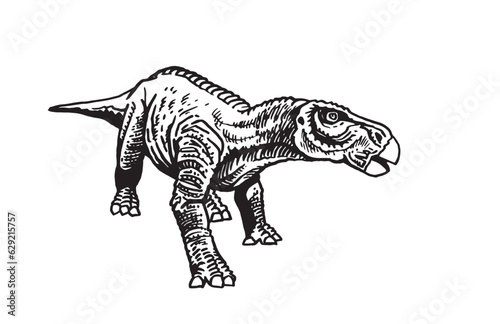 Graphical illustration of iguanodon isolated on white background,vector illuatration.Dinosaur
