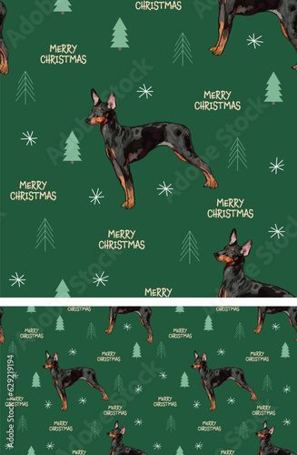 Seamless English toy terrier pattern, holiday texture. Square format, t-shirt, poster, packaging, textile, textile, fabric, decoration, wrapping paper. Trendy hand-drawn dogs wallpaper. Holiday design photo
