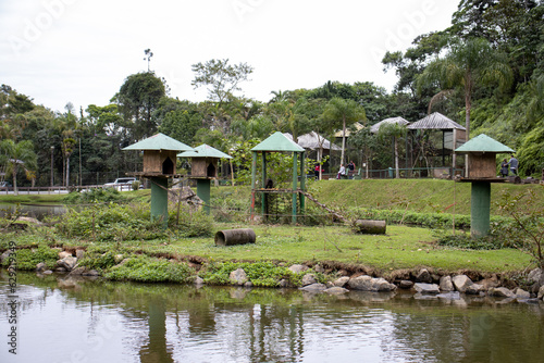 Fototapeta Naklejka Na Ścianę i Meble -  Zoobotânico Joinville Santa Catarina Brasil cloudy day lake and animals duck and monkey in public park Zoobotanist of Joinville Brazil