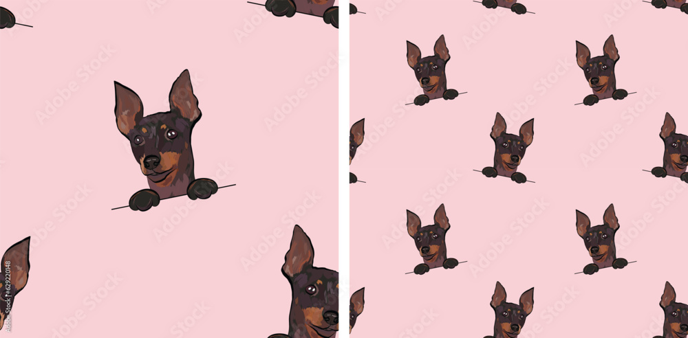 Seamless pattern with dog in a pocket, with paws only. Pink Packaging, textile, decoration, wrapping paper. Trendy hand-drawn funny English toy terrier dogs, square pattern. Pattern with dog faces.