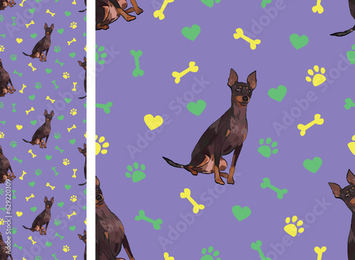 English toy terrier on a playful violet background with bones, hearts, paws. Funky, colorful vibe, vibrant palette. Simple, clean, modern texture. Summer seamless pattern with pets and dogs attributes photo