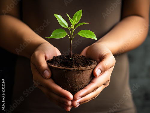 Close up of hand of person holding pot with young plant in hand for agriculture and ecology concept