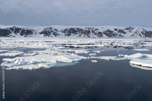 Arctic Landscape in Svalbard