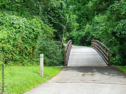 wooden bridge in the park