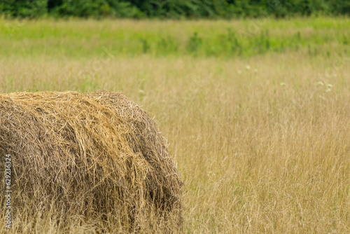 hay bale in the field