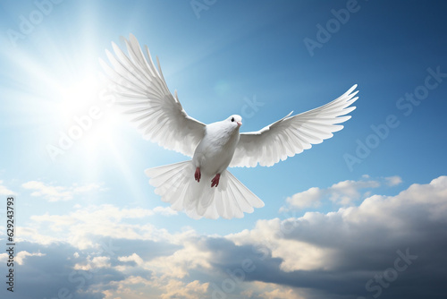 Peaceful white bird soaring above a serene sky