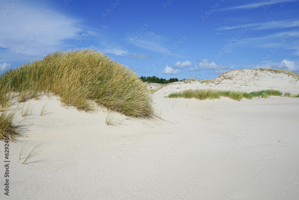 Sandy dunes in Slowinski National Park in Poland. Łeba Sandy dunes in Slowinski National Park in Poland. Łeba