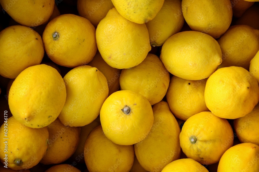 closeup of a bunch of lemons sitting next to each other closeup of a bunch of lemons sitting next to each other