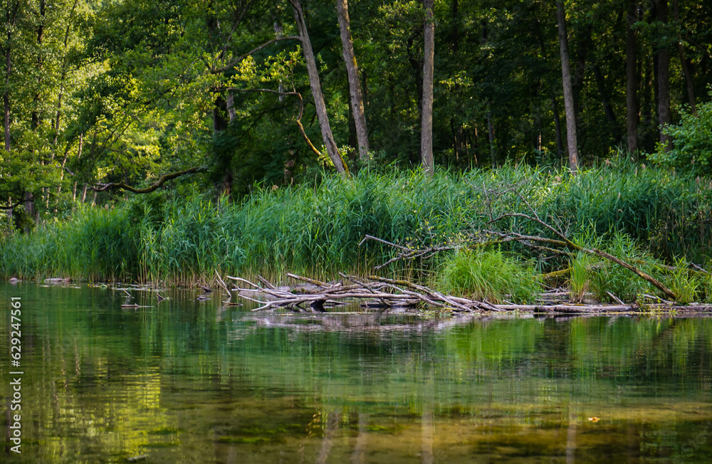 Beautiful landscape of the Krutynia River Beautiful landscape of the Krutynia River