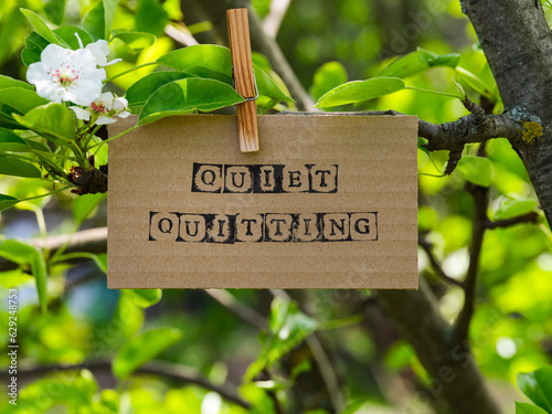 Piece of cardboard with the words Quiet Quitting on it hanging on a pear tree branch with blossoms and leaves using a wooden clothespin. © rosinka79