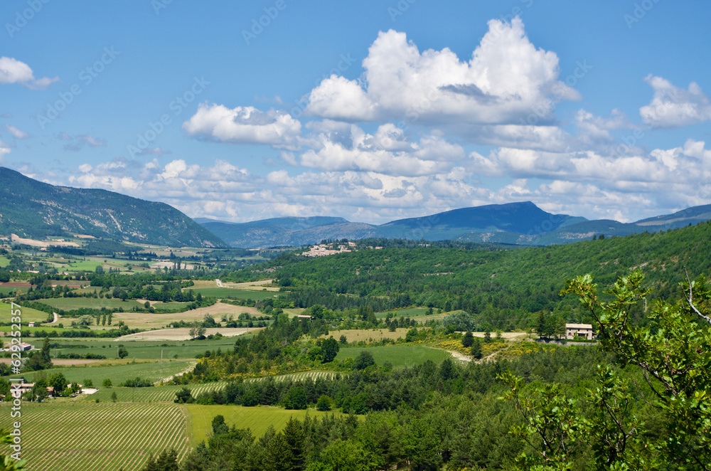 Agricultural landscape in front of Mont Ventoux in Provence in France in summer.