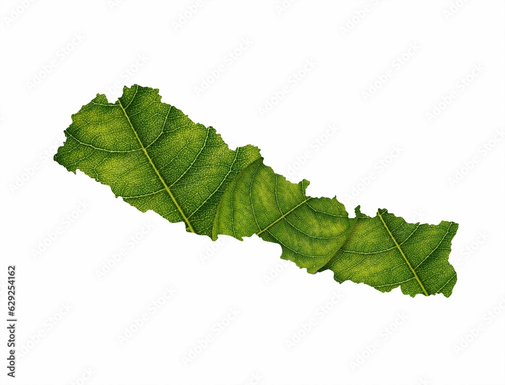 Illustration of Nepal map made of green leaves on a white background Illustration of Nepal map made of green leaves on a white background
