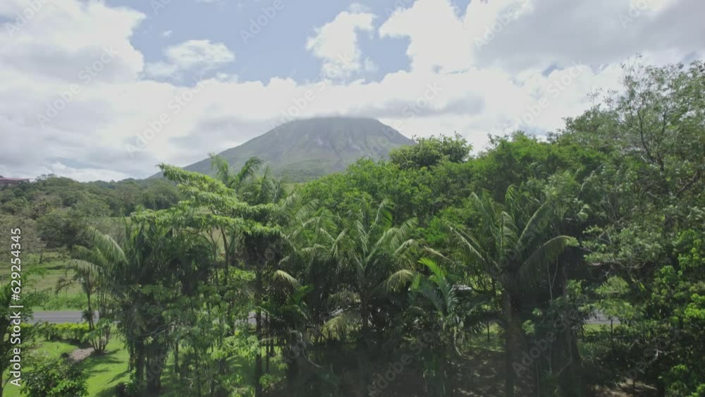 Aerial of green palm trees alongside the water with a tropical volcano in the background Aerial of green palm trees alongside the water with a tropical volcano in the background