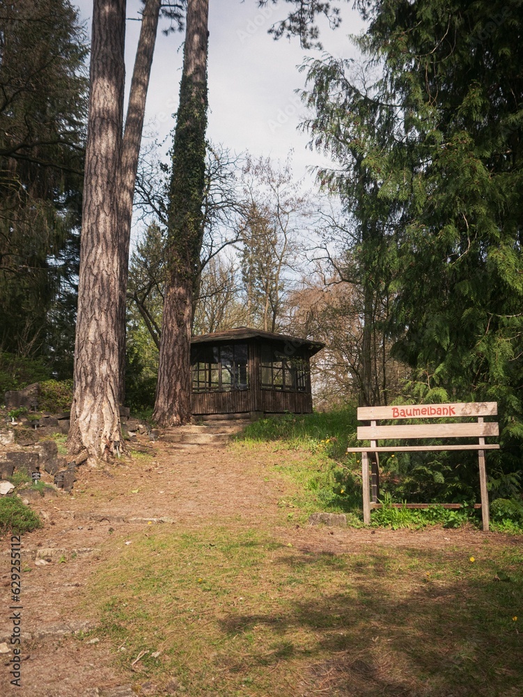 A bank to rest inside the botanical garden in Eberswalde A bank to rest inside the botanical garden in Eberswalde