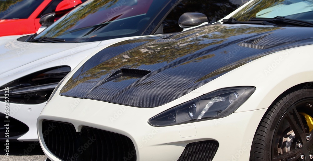 Beautiful sleek car closeup with carbon fiber hood
