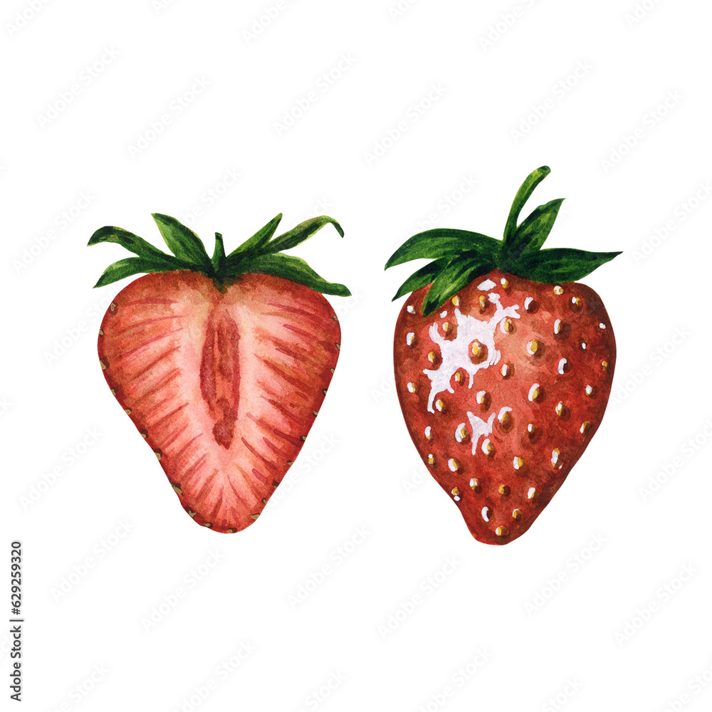 Ripe and juicy strawberries isolated on white background, hand drawn watercolor berries illustration. For postcards, greeting cards, invitations, textiles, prints, background, patterns. Ripe and juicy strawberries isolated on white background, hand drawn watercolor berries illustration. For postcards, greeting cards, invitations, textiles, prints, background, patterns.