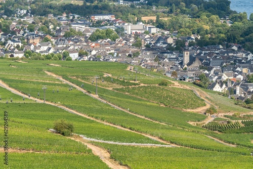 Aerial view of hills and vineyards above Rudesheim am Rhein in Rhine Valley