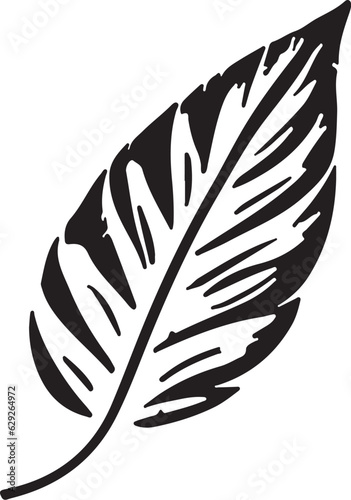 Vector design of a minimalistic feather with a white background