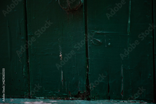 Dark green wood structured and textured wood, detail of the door