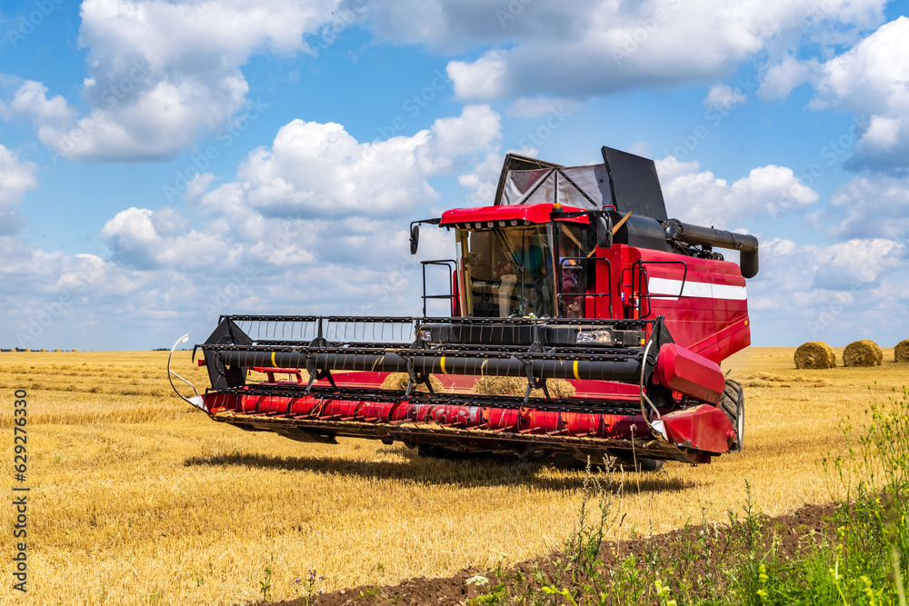 Fototapeta premium modern heavy harvesters remove the ripe wheat bread in field. Seasonal agricultural work