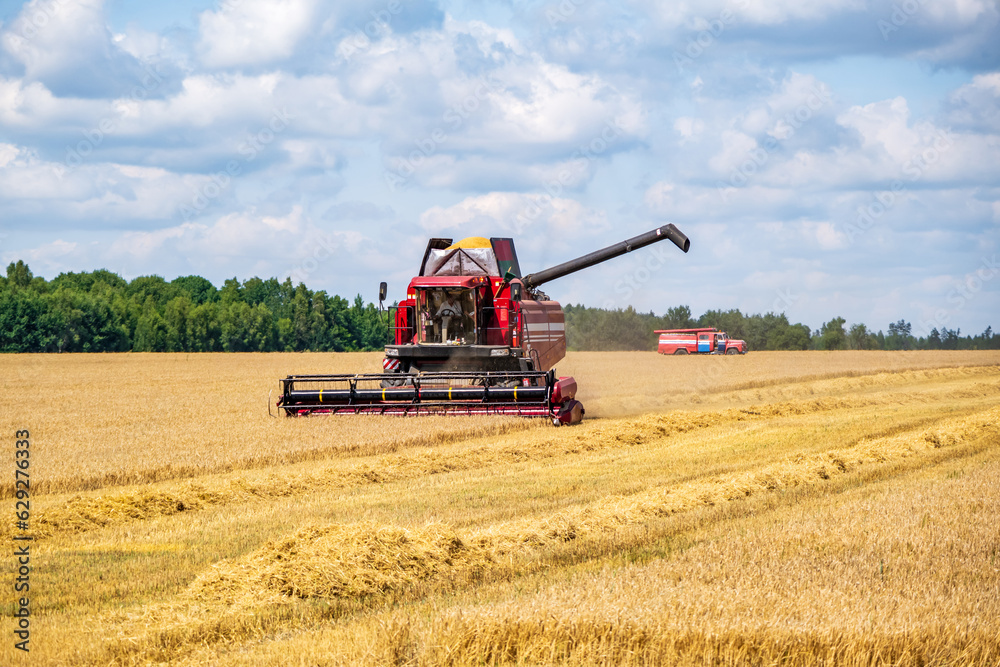 modern heavy harvesters remove the ripe wheat bread in field. Seasonal agricultural work modern heavy harvesters remove the ripe wheat bread in field. Seasonal agricultural work