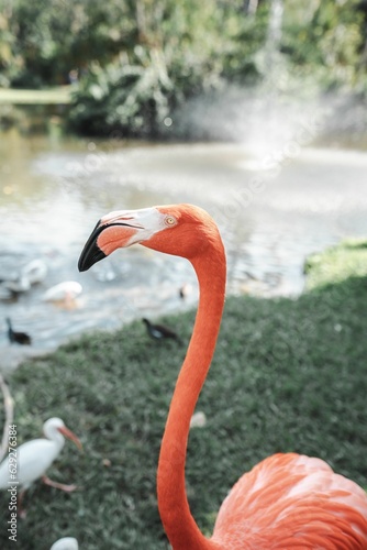 Vertical selective focus shot of a bright pink flamingo near a pond