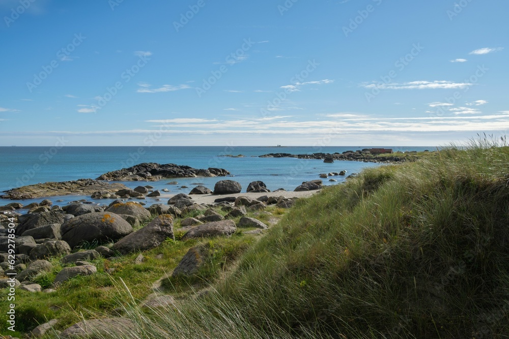 Scenic view of rocks and green plants on Brusand Beach, Norway on a sunny summer day