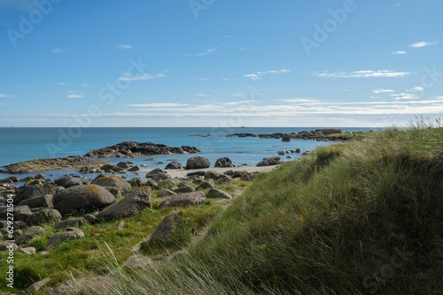 Scenic view of rocks and green plants on Brusand Beach  Norway on a sunny summer day